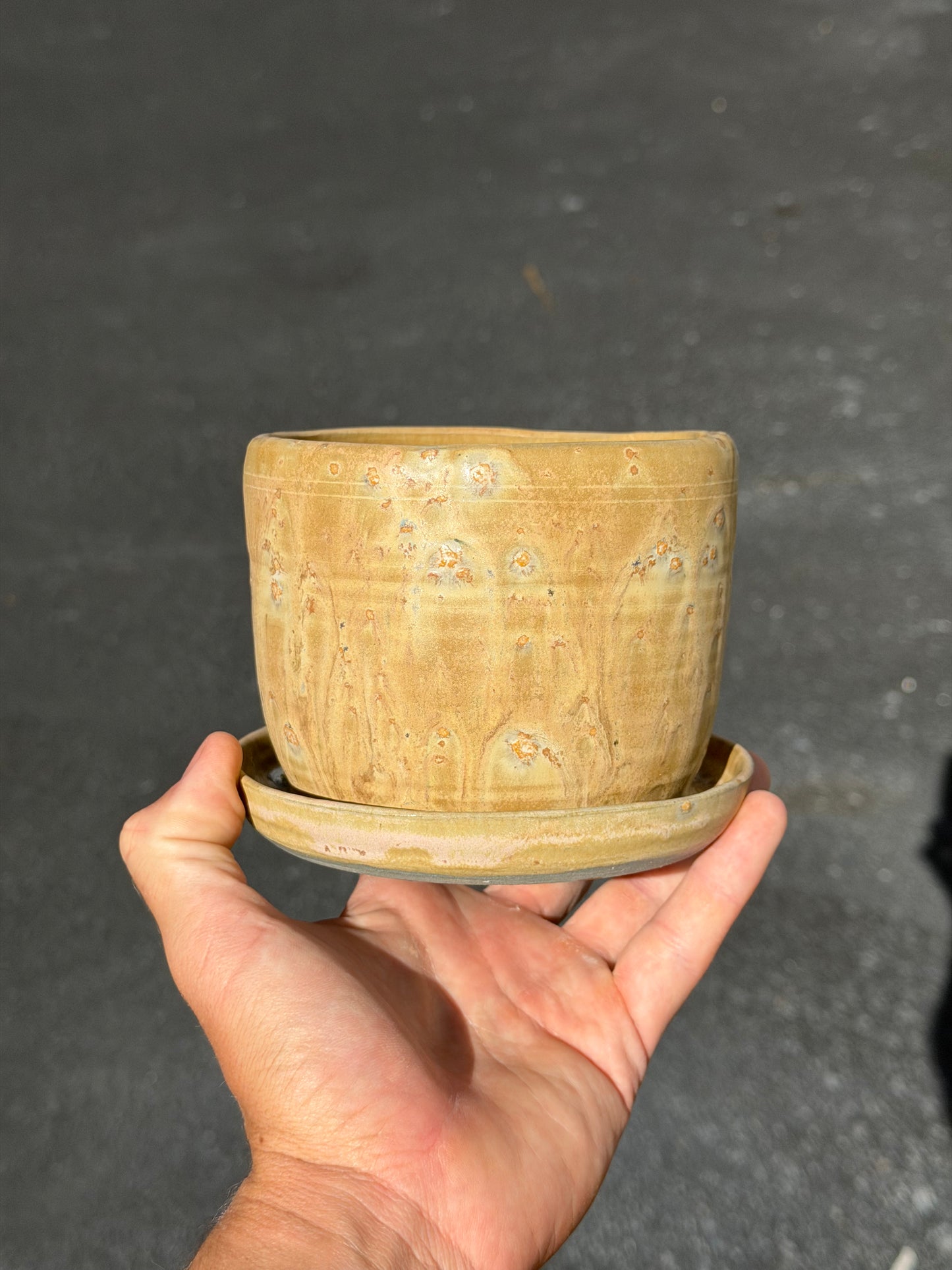 Desert Sand Planter