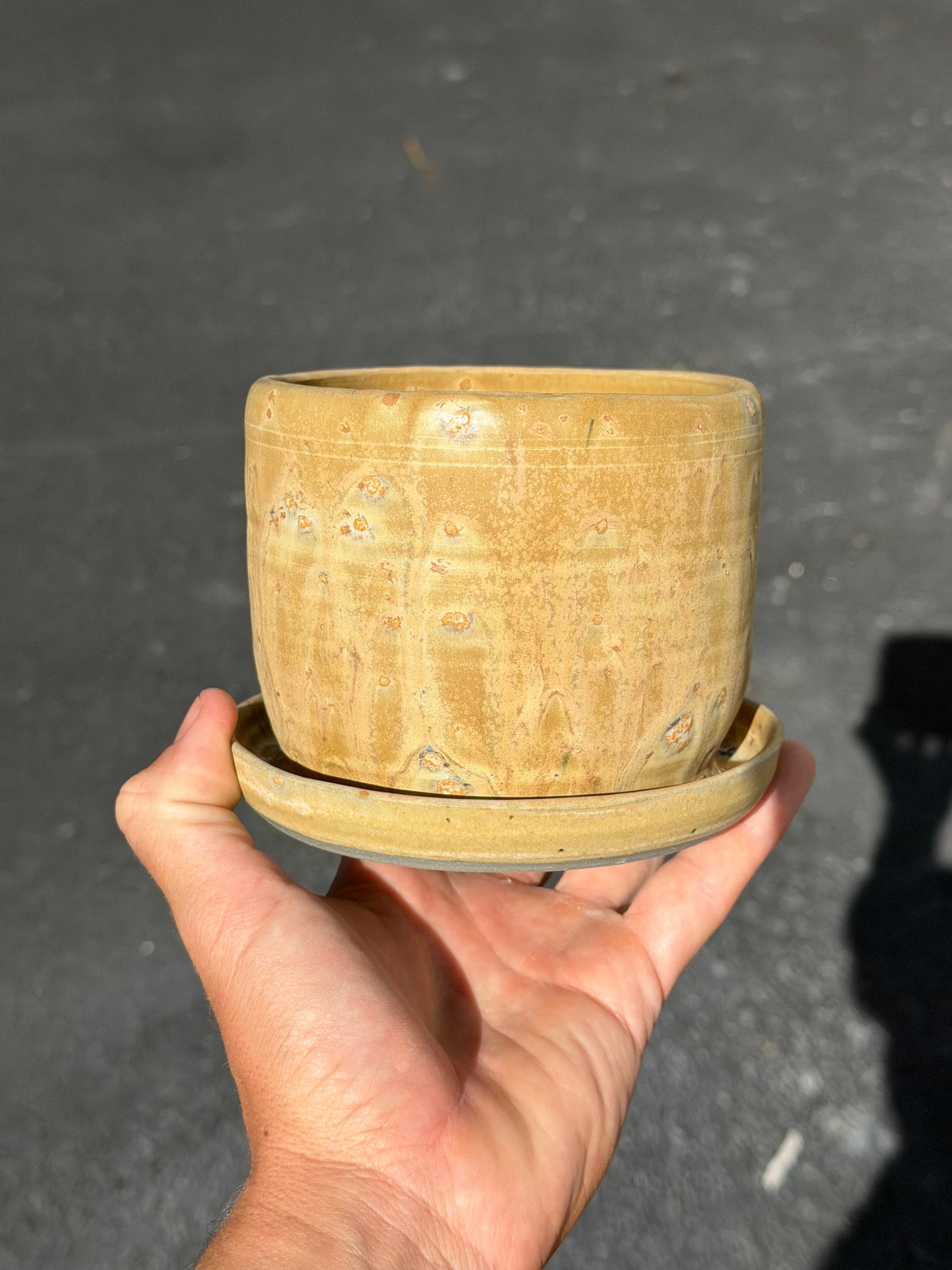 Desert Sand Planter