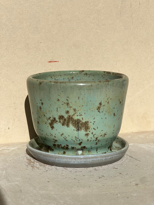 Green Haze Planter (Reduced)